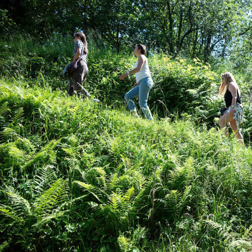 0d8f5da6b61e5cc3ef43705b235e948f