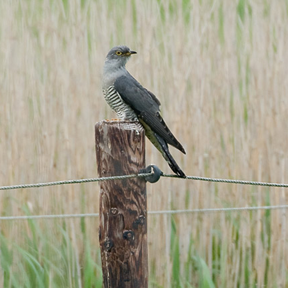 50027273ed560e1c3e156a0abab54ad2